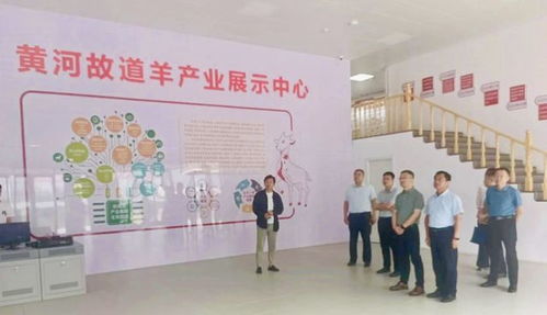 山东省人社厅赴单县调研，推动羊肉汤专项职业技能培训品牌化与规范化发展